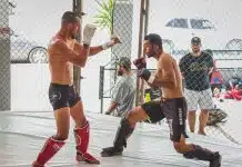 Le guide ultime du code en ligne pour les amateurs de MMA