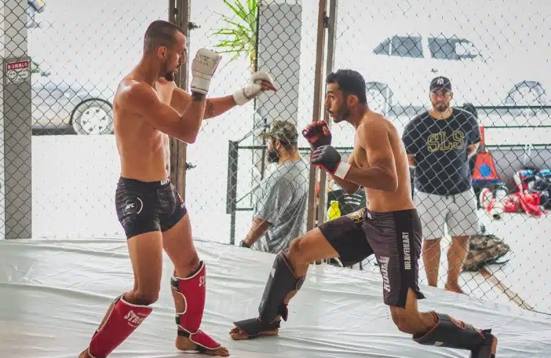 Le guide ultime du code en ligne pour les amateurs de MMA