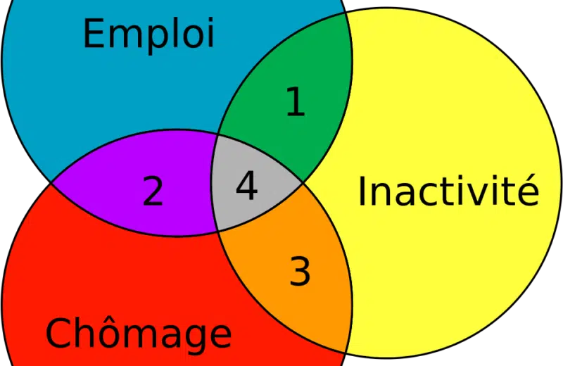 3 bonnes raisons d’effectuer un stage en entreprise