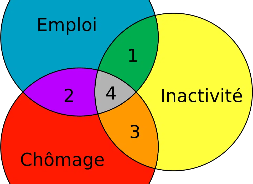 3 bonnes raisons d’effectuer un stage en entreprise