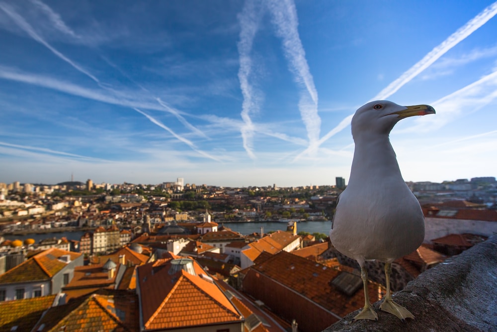Retraite au portugal