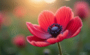 Zoom sur les plus belles fleurs commençant par la lettre A