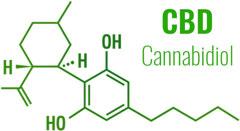 Comment consommer des fleurs de CBD ?