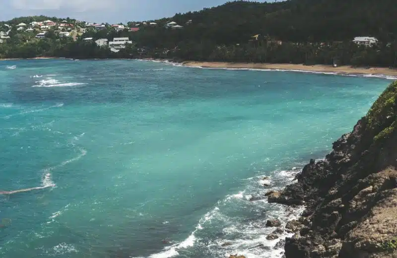 Des vacances de rêves ? Pensez à la Martinique ?