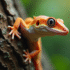Gecko uroplatus camouflé sur l'écorce d'arbre en forêt