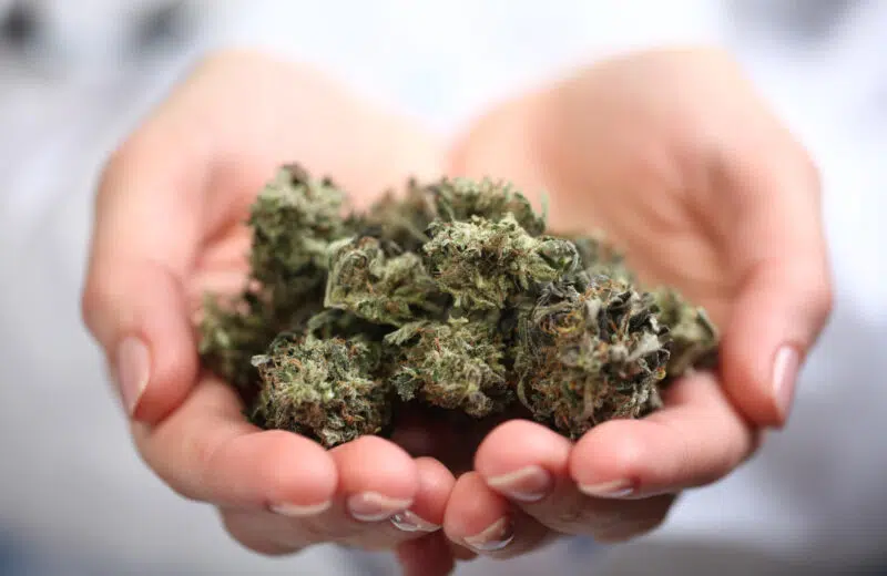 Comment reconnaissez-vous la résine CBD ?