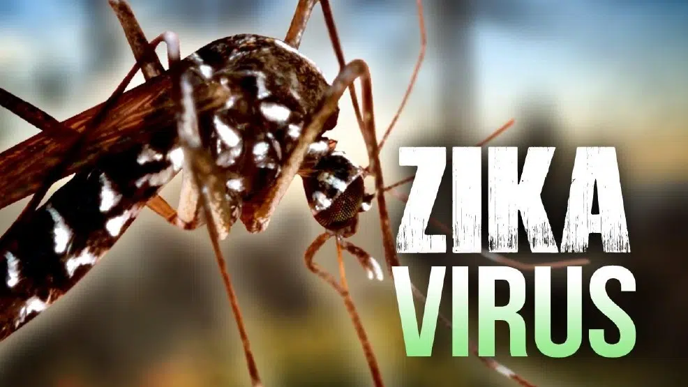 Et si Zika disparaissait dans 2 ans ?
